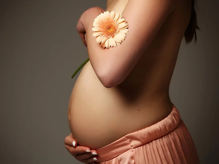 Photo de grossesse en studio : ventre arrondi et fleur de gerbera orange
